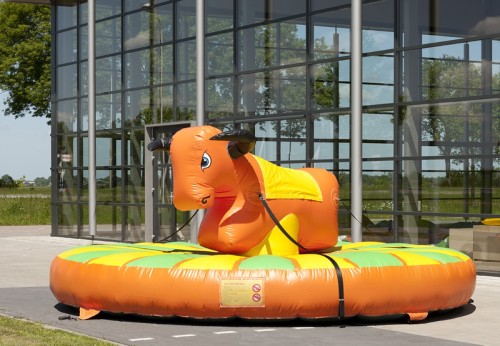 Trekrodeo stier Herman